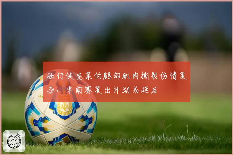 独行侠克莱伯腿部肌肉撕裂伤情复杂，季前赛复出计划或延后